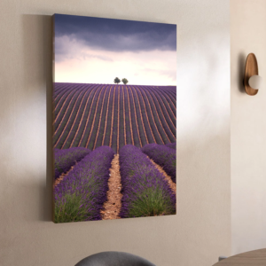 Tableau lavande provence nature